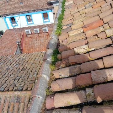 Limpiador para mantenimiento y limpieza de canaletas