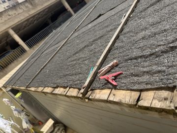 Inspección y eliminación de moho - Limpieza