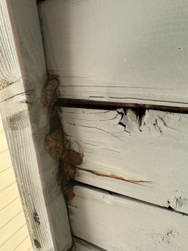 Limpieza - Servicios Domésticos