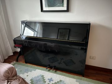 Piano Mover - Home Improvements