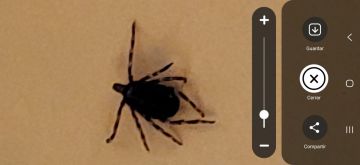 Exterminador