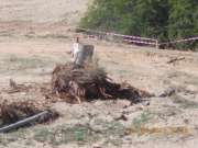 Stump Grinder