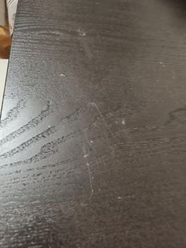 Furniture Repair Professional