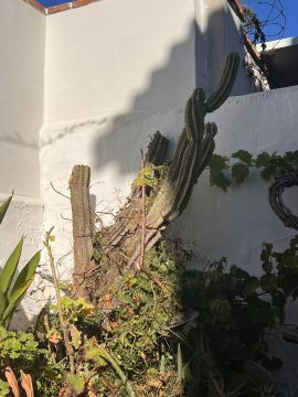Gardener