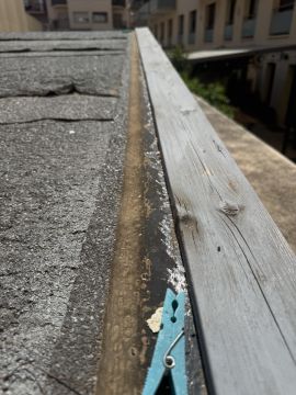 Inspección y eliminación de moho - Limpieza