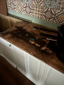 Experto en eliminación de moho - Servicios Domésticos