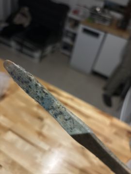 Mold Inspection and Removal