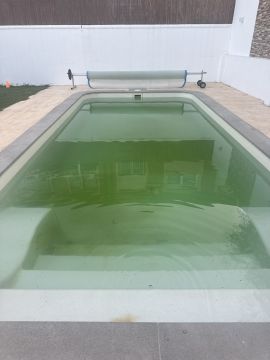 Pool Cleaner