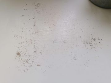 Countertop Repair or Maintenance - Furniture