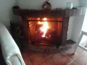 Chimney Cleaner