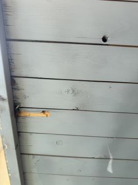 Experto en eliminación de moho