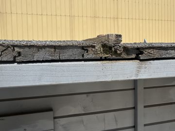 Experto en eliminación de moho - Servicios Domésticos