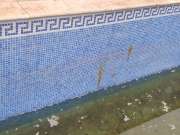 Reparación de piscinas