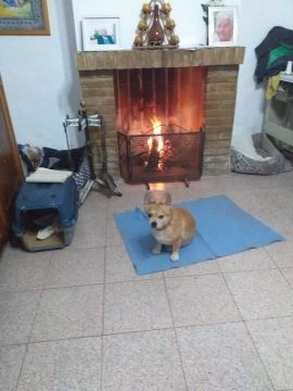 Fireplace Specialist