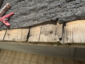 Inspección y eliminación de moho