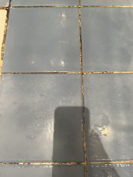 Mold Removal Expert - Domestic Services
