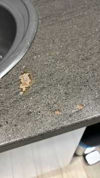 Countertop Repair or Maintenance