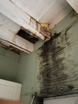 Limpieza - Servicios Domésticos