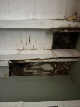 Inspección y eliminación de moho - Limpieza