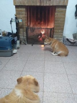 Reparación de chimeneas