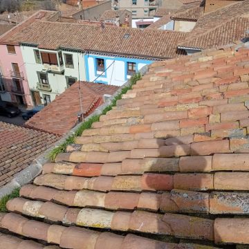 Limpiador para mantenimiento y limpieza de canaletas - Hogar