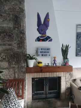 Fireplace Specialist