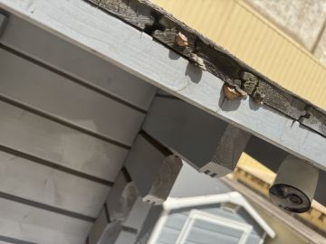 Experto en eliminación de moho - Servicios Domésticos