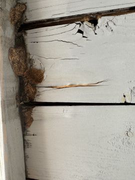 Limpieza - Servicios Domésticos