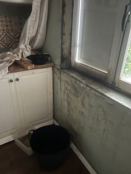 Inspección y eliminación de moho