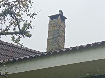 Chimney Cleaner