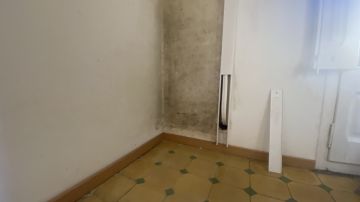 Experto en eliminación de moho