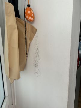 Limpieza - Servicios Domésticos