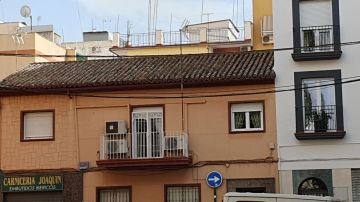 Roof Cleaner