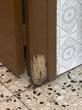Exterminator Companies