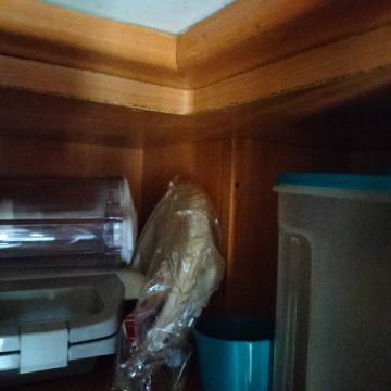 Carpentry and Woodworking