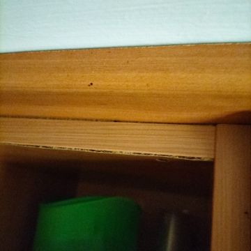 Cabinet Repair