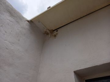 Awning Repairman