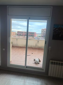 Pet Door Installer