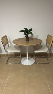Limpiador de tapicerias y muebles