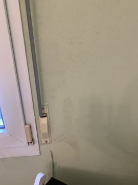 Mold Removal Expert - Domestic Services