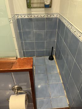 Mold Inspection and Removal