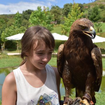 Xiana - Redondela - Banhos e Tosquias para Animais