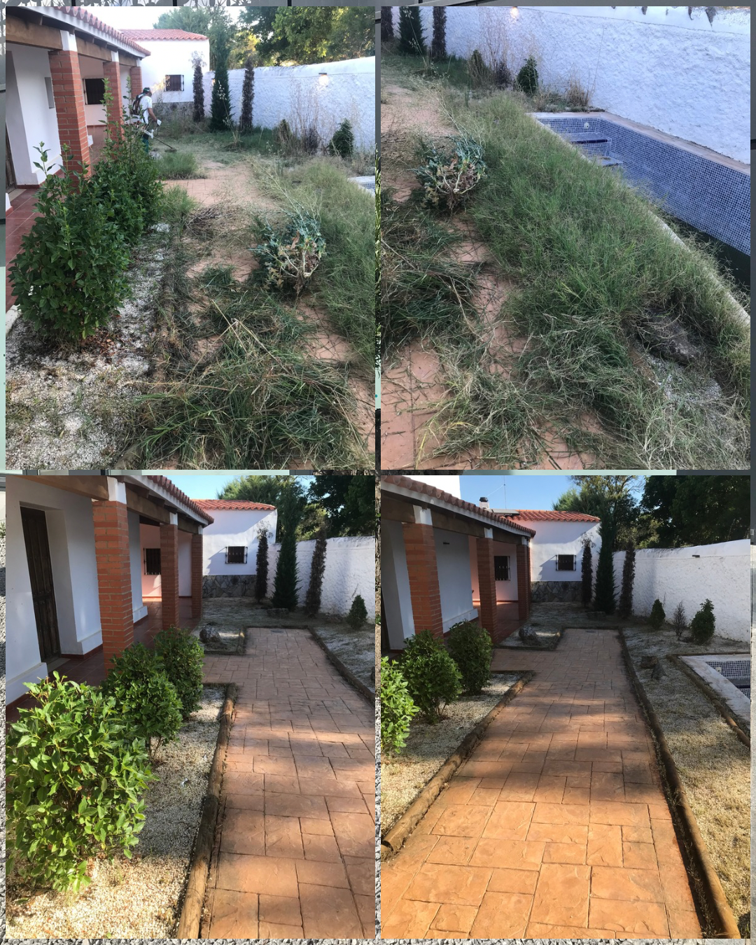 GP jardinería - Mérida - Poda y mantenimiento de árboles