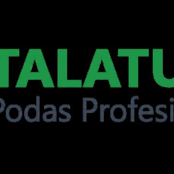 Taltum podas - Madrid - Poda y mantenimiento de árboles