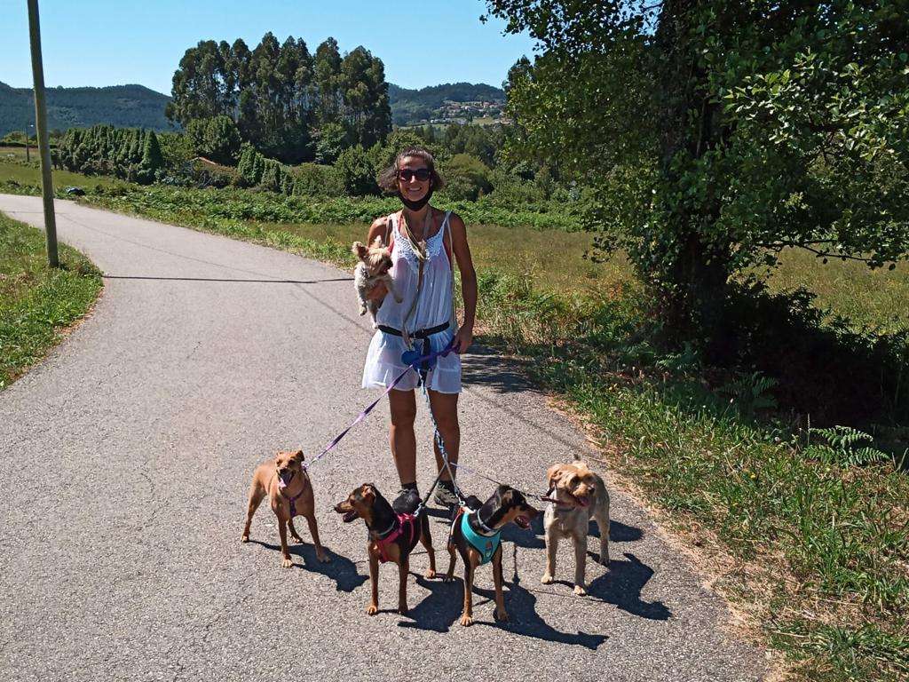 Maestra Canina - Madrid - Adiestramiento de perros - Clases privadas