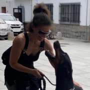 Maestra Canina - Madrid - Entrenamiento de animales y modificación de la conducta (no caninos)