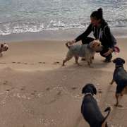 Maestra Canina - Madrid - Entrenamiento de animales