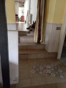 Interior Painter