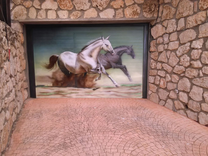 ArtMirr Murales pintura y decoracion - Tarancón - Pintura