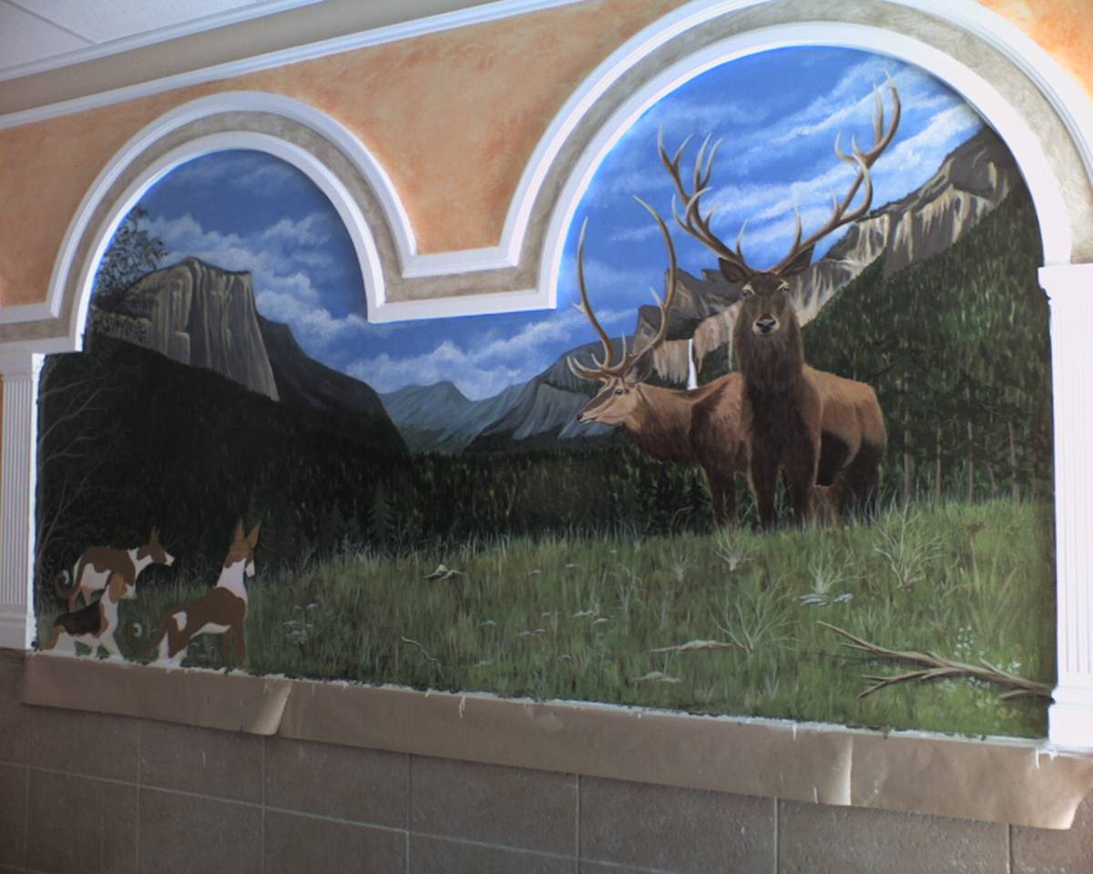 ArtMirr Murales pintura y decoracion - Tarancón - Pintura de exteriores